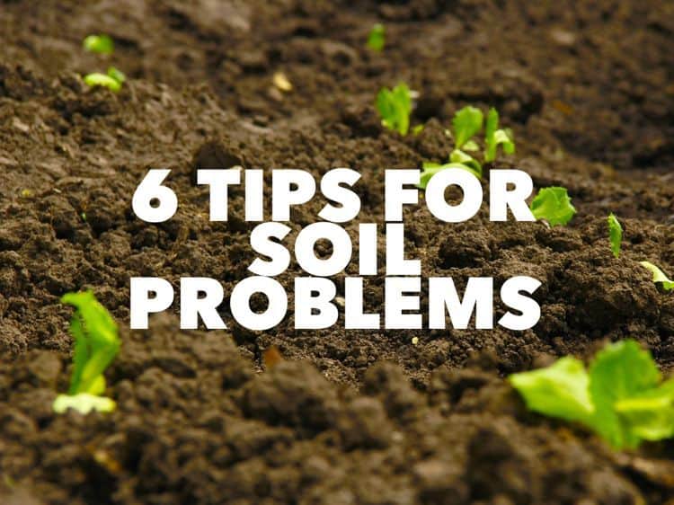 Top soil problems
