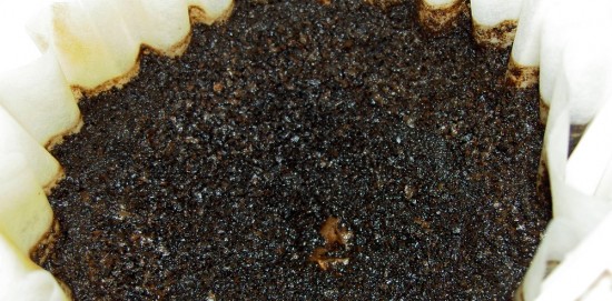 coffee grounds for gardening