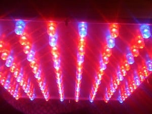 led-flickr-johnabela LED Grow Lights
