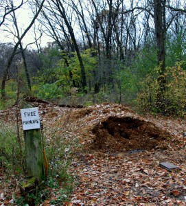 manure-fkickr-AntonioO-BovinO Manure Fertilizer