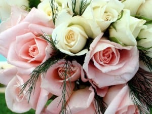 flower-meaining-morgue-kahanaboy Flower Meaning