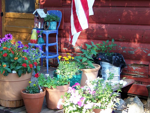 container-garden-flickr-idyllbirder Container Garden Watering tips