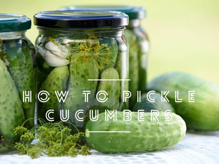 How to Pickle Cucumbers