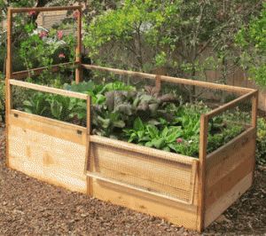 Raised Garden Design on Raised Bed Gardens Are Becoming More And More Popular As A Way To Grow