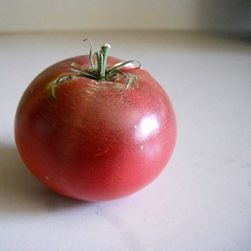 cherokee-purple-jenniferworthen Growing Cherokee Purple Tomatoes