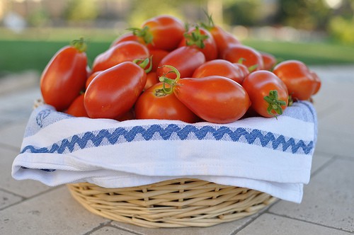 sauce-tomatoes-andersbknudsen Sauce Tomatoes