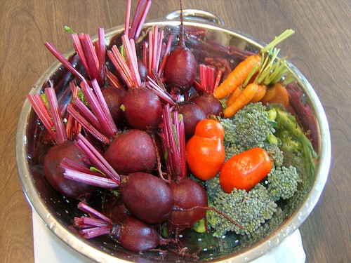 vegetables-by-season-Stevie-Rocco Vegetable Planting Calendar