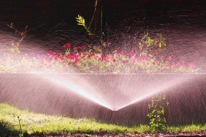 sprinklers-shopping-Kumaravel Shopping for sprinklers