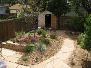 water-saving-gardens-Jay@MorphoLA Water-saving gardens