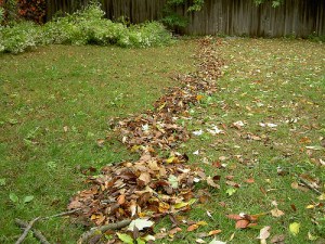 autumn-lawncare-Dan4th autumn yardwork