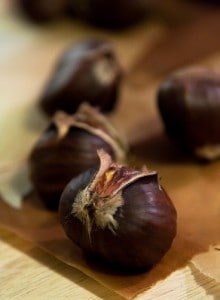 Chestnut