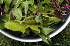 food to heal bones