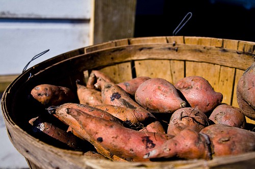 sweet potaoes CC flickr photo by khawkins04
