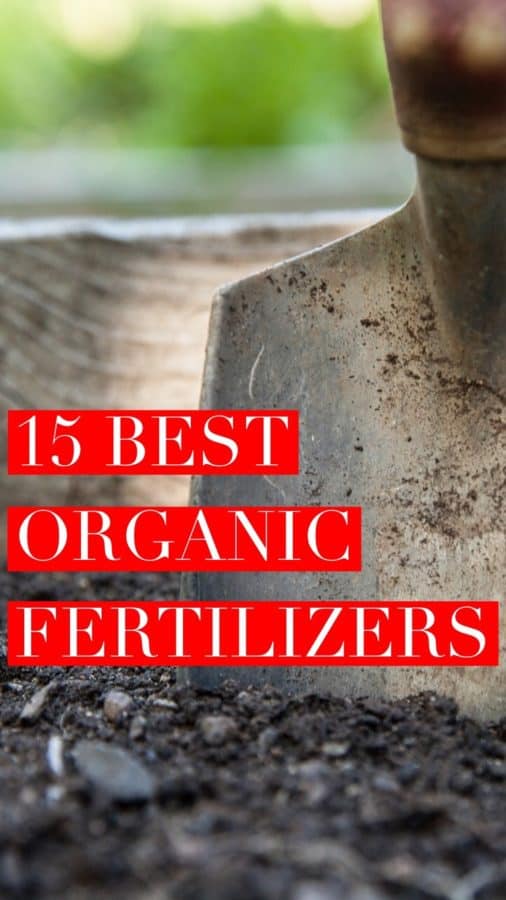 15 of the Best Common Organic Fertilizers