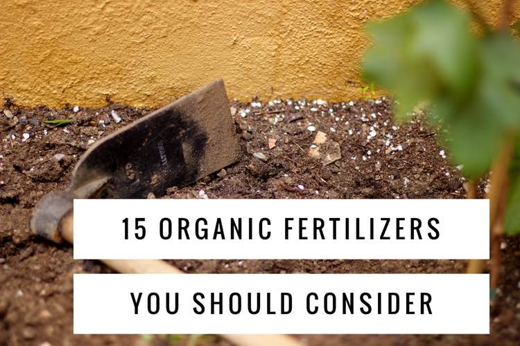 15 of the Best Common Organic Fertilizers