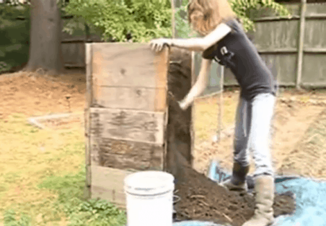 Growing Potatoes in Containers: A Roundup of the Best Ideas