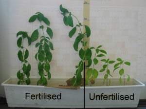 Image Result For Home And Garden Fertilizera Image Result For Home And Garden Fertilizera