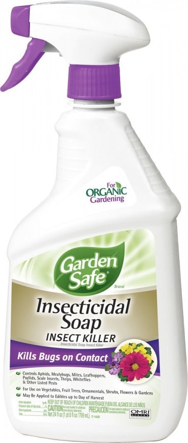 Bryon recommends best of Do soap water kill sperm sperm kill soap Do water