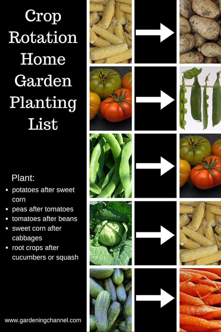 Crop Rotaion Cheat Sheet