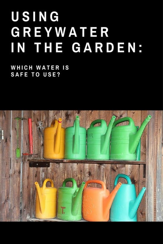 Using Dishwater to Water Plants Which Greywater is Safe in the Garden?