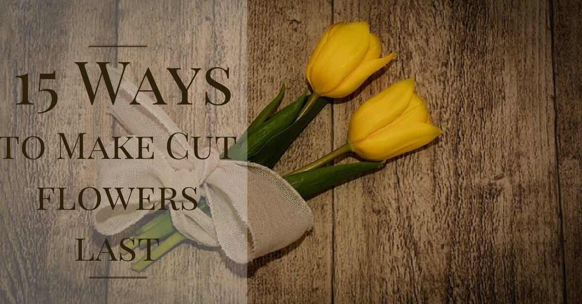 15 Ways to Make Cut Flowers Last Without Chemicals