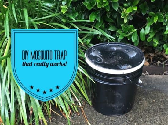 DIY Mosquito Trap with a 3 or 5 Gallon Bucket