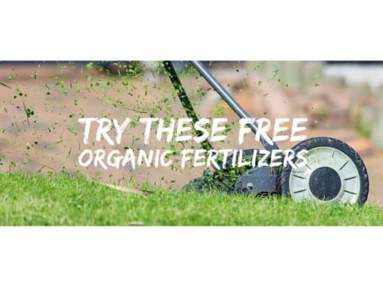 7 Organic Fertilizers You Might be Throwing Away