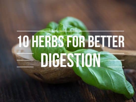 10 Herbs to Improve Gut Health and Digestion