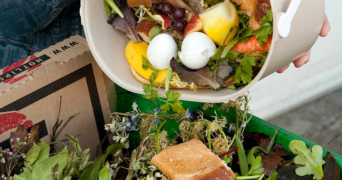 Six Smart Ways to Recycle Food Waste Gardening Channel