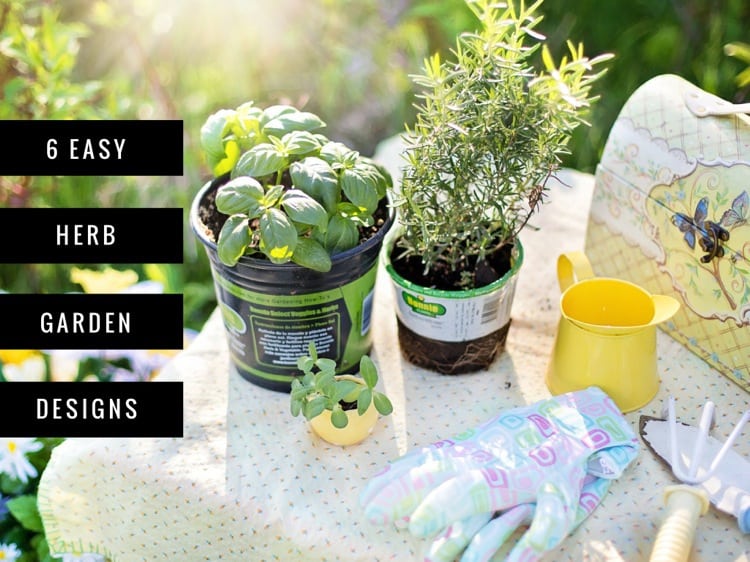Six Simple Design Ideas for Herb Gardens Gardening Channel