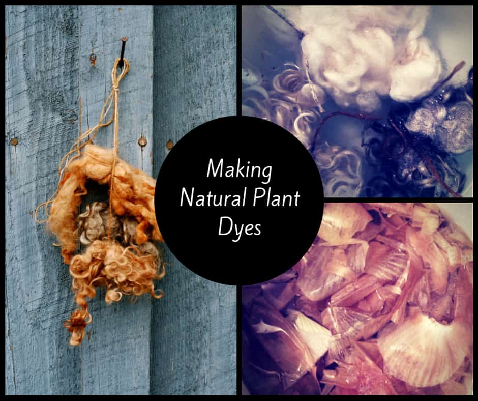 Making Natural Dyes From Fruits Making Natural Dyes From Fruits