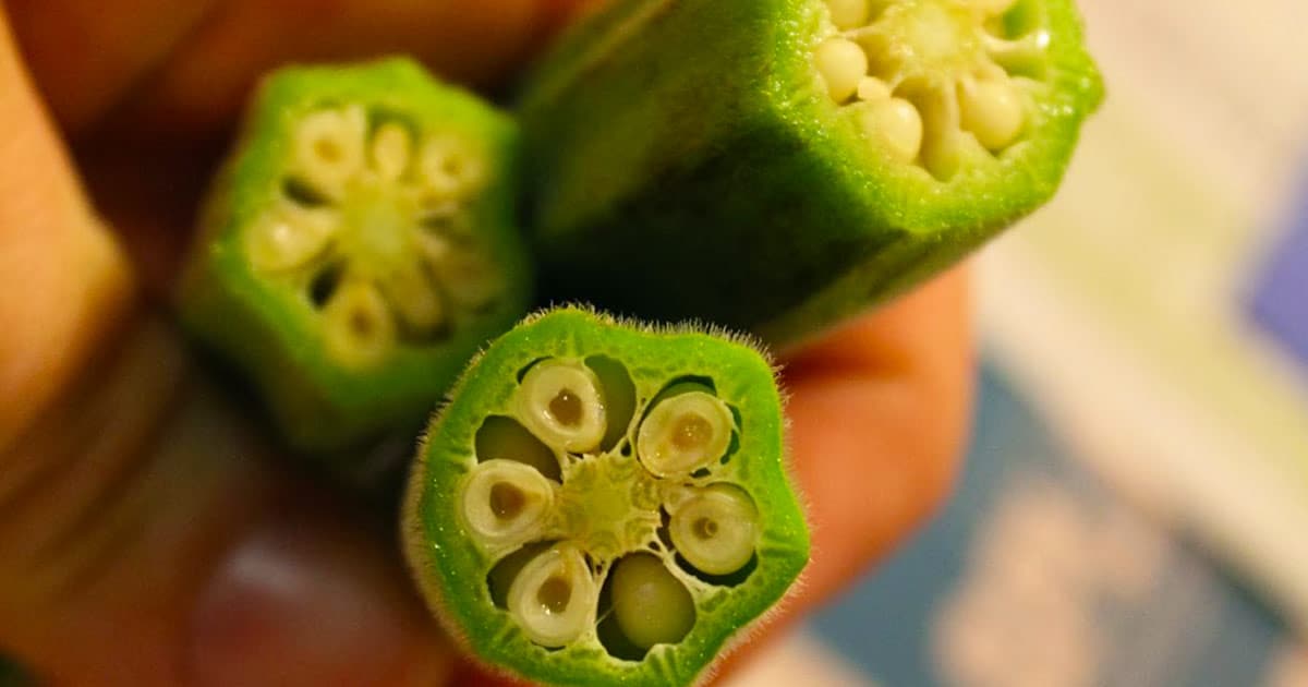 Health Benefits of Okra Gardening Channel