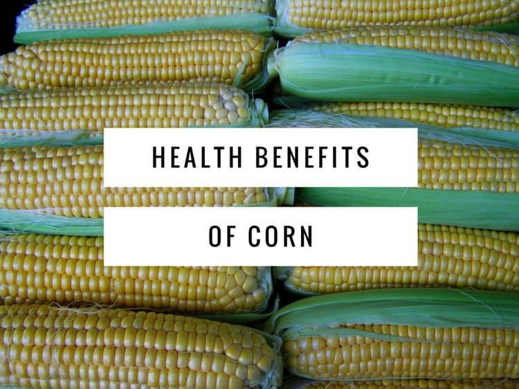 Health benefits of corn Gardening Channel