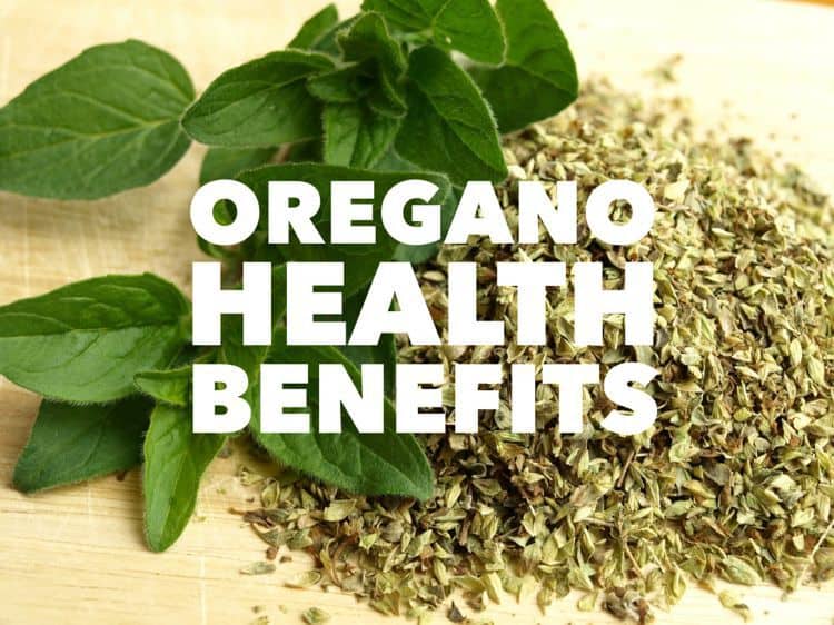 Is Oregano Safe For People With Kidney Problems - 7wiy05v