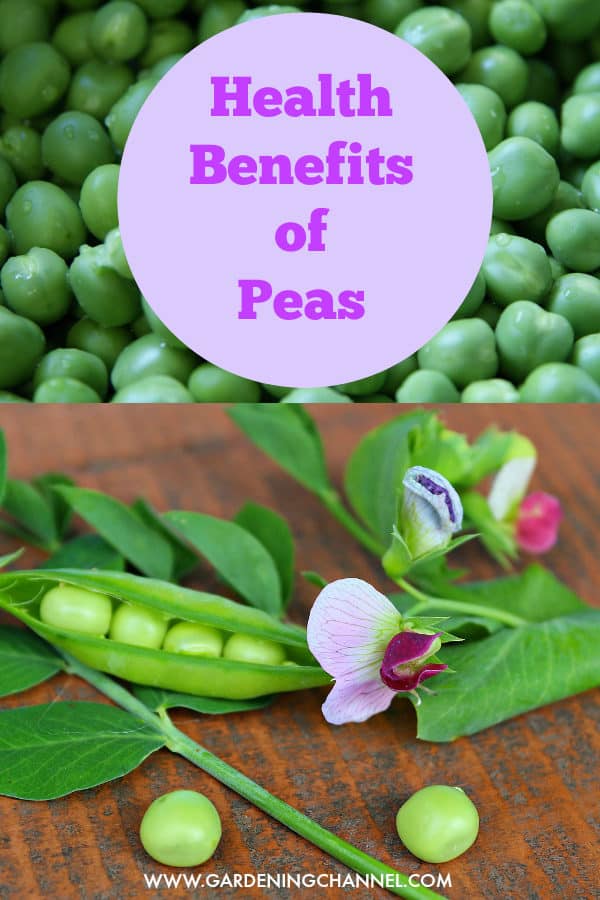 Health Benefits of Peas