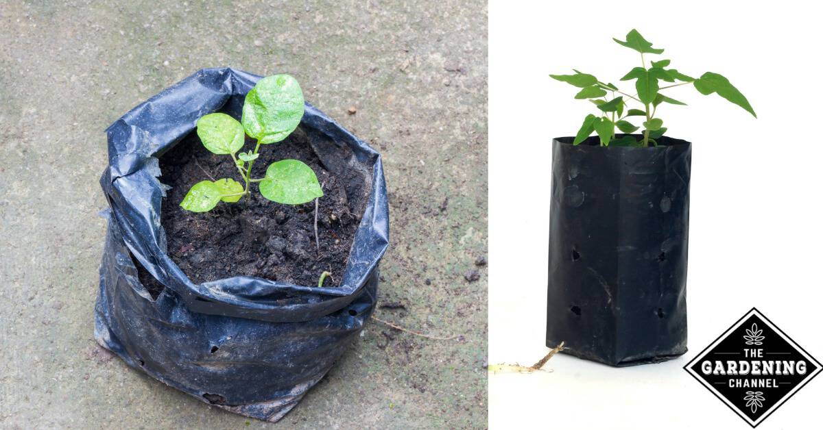 Plant Nursery Bag Plant Grow Bag Nursery Poly Bag Uv Stabilised Poly  Grow Bags Black