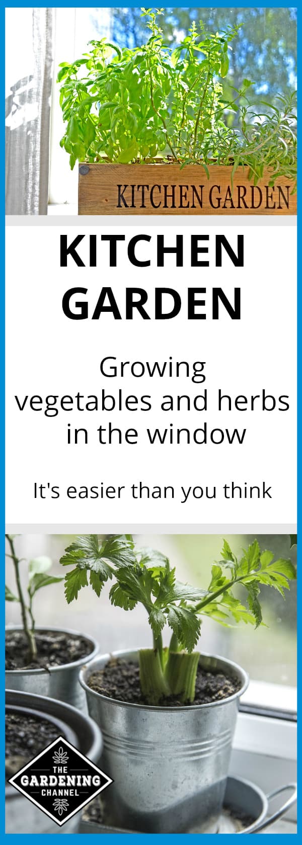 growing a garden growing a garden