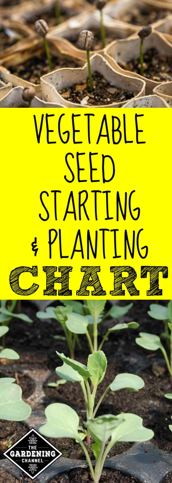 vegetable seed starting chart Gardening Channel