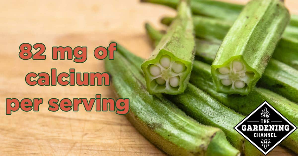 Calcium Rich Vegetables - Gardening Channel