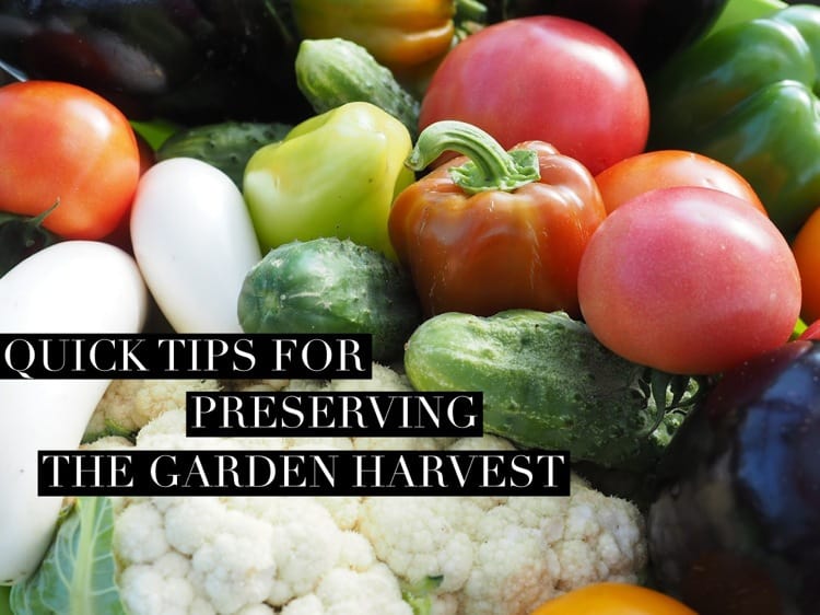 Quick Tips for Preserving the Garden Harvest Gardening Channel
