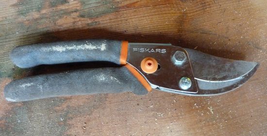 Fiskars Bypass Pruner and Saw Garden Tool Set with Steel Blades and  Non-Slip Handles 