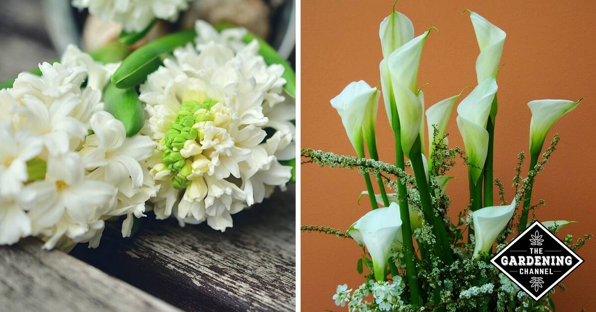 Popular Wedding Flowers for April Gardening Channel