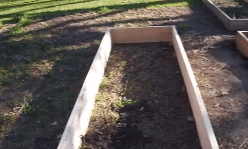 The Bottom Of My Raised Garden Bed, How To Put In Raised Garden Beds