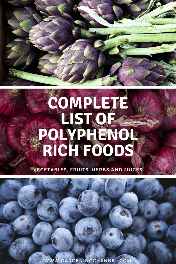 list-of-polyphenol-rich-vegetables-fruits-herbs-and-juices