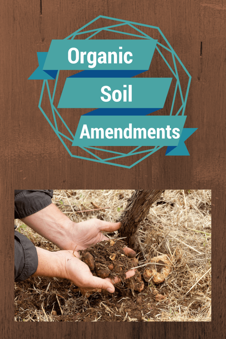 Organic Soil Amendment 101 Gardening Channel Organic Soil Amendment 101 Gardening Channel