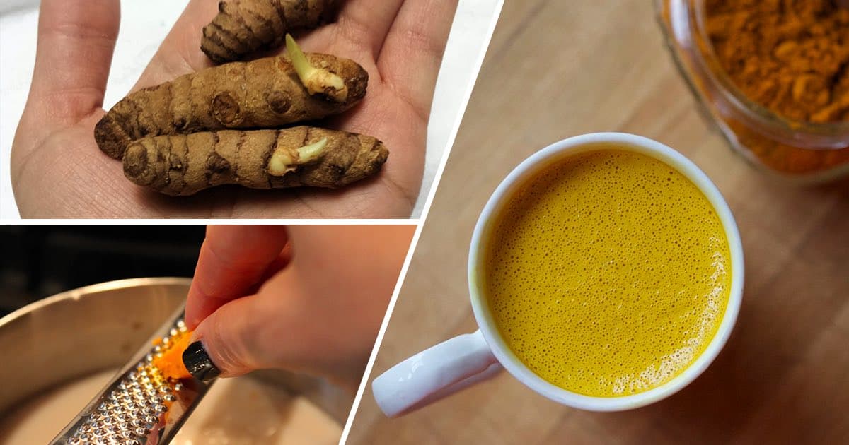21 Incredible Uses for Turmeric You Should Try Gardening Channel
