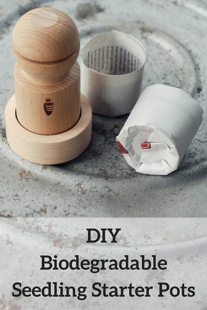 DIY Biodegradable Seedling Starter Pots Gardening Channel