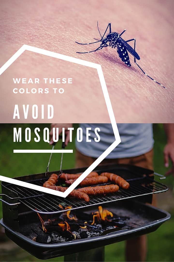 Colors that attract Mosquitoes Gardening Channel