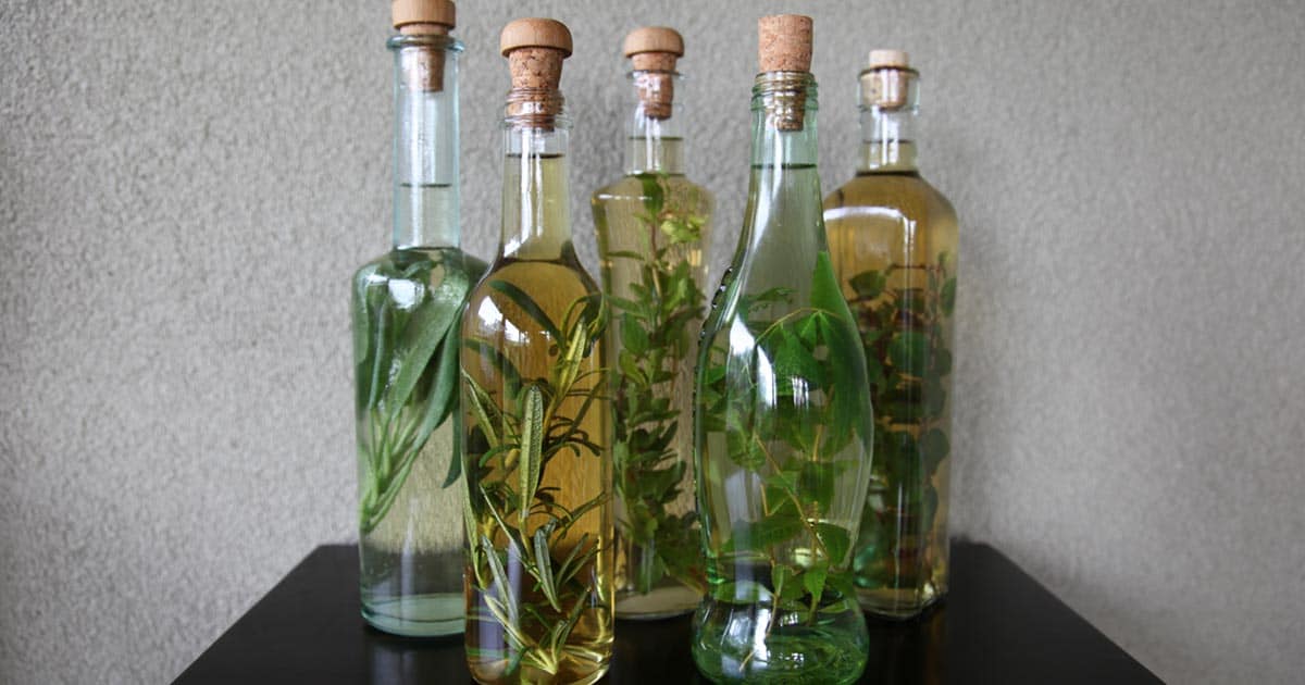 How to Make Herb Vinegar Gardening Channel