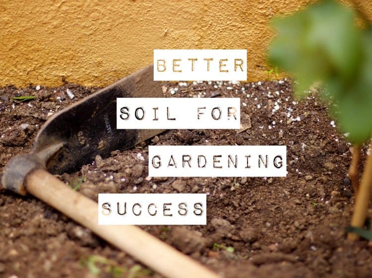 Importance Of Soil Quality Gardening Channel Importance Of Soil Quality Gardening Channel